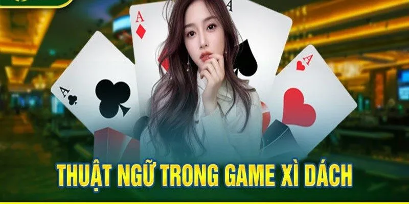 Một vài thuật ngữ trong game bài Xì Dách Olybet